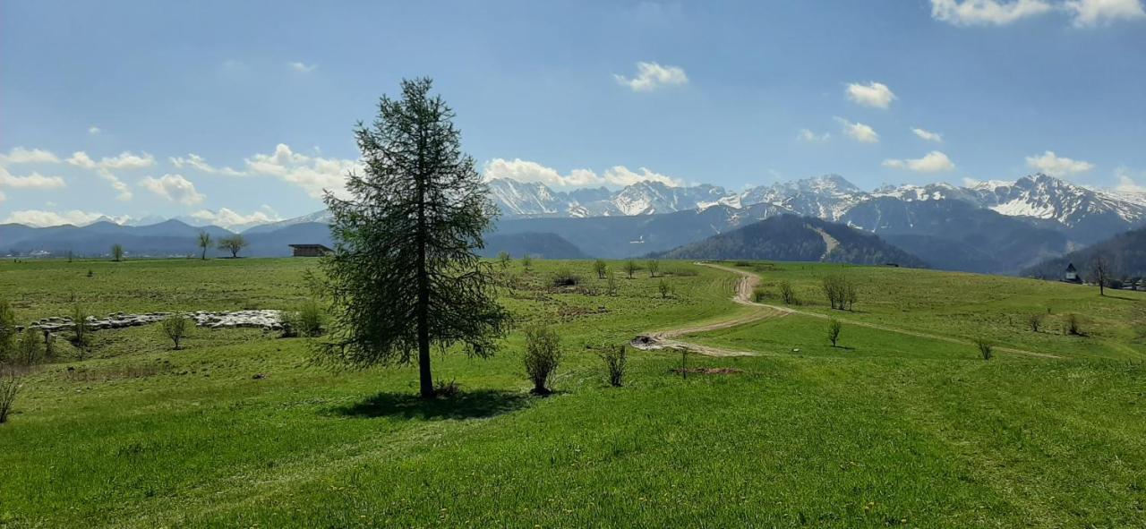 Pokoje Goscinne Przeklasa Pawel Zakopane Dış mekan fotoğraf