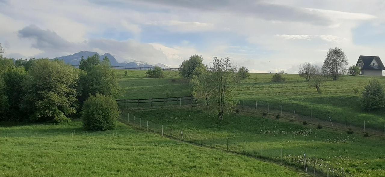 Pokoje Goscinne Przeklasa Pawel Zakopane Dış mekan fotoğraf