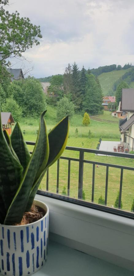Pokoje Goscinne Przeklasa Pawel Zakopane Dış mekan fotoğraf