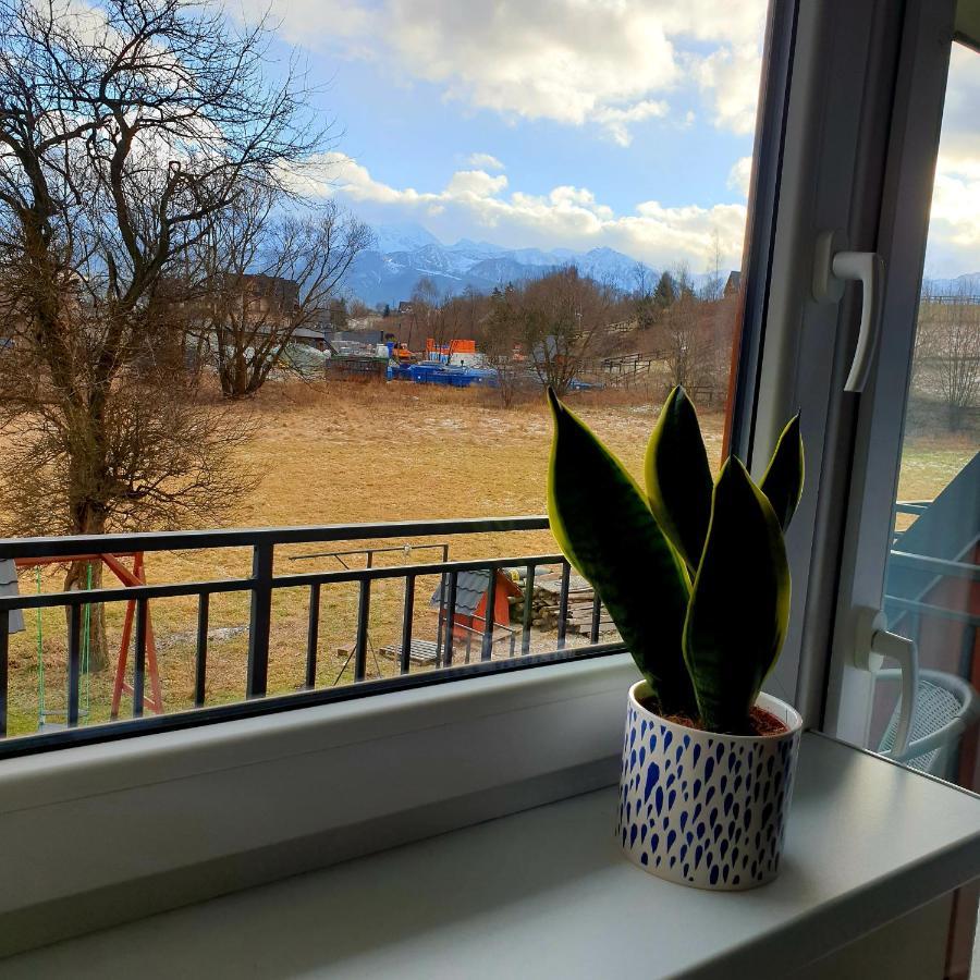Pokoje Goscinne Przeklasa Pawel Zakopane Dış mekan fotoğraf