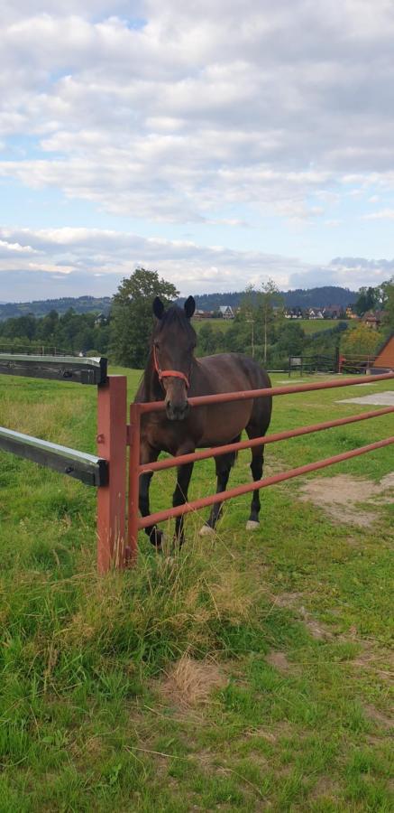Pokoje Goscinne Przeklasa Pawel Zakopane Dış mekan fotoğraf
